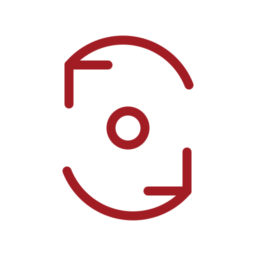stage icon